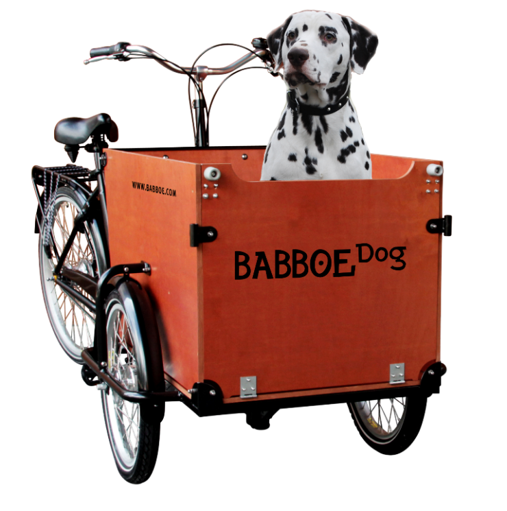 Bild 1 von Lastenrad Babboe Dog-E Elektrisch - Bakfiets braun - Lastenrad für Hunde