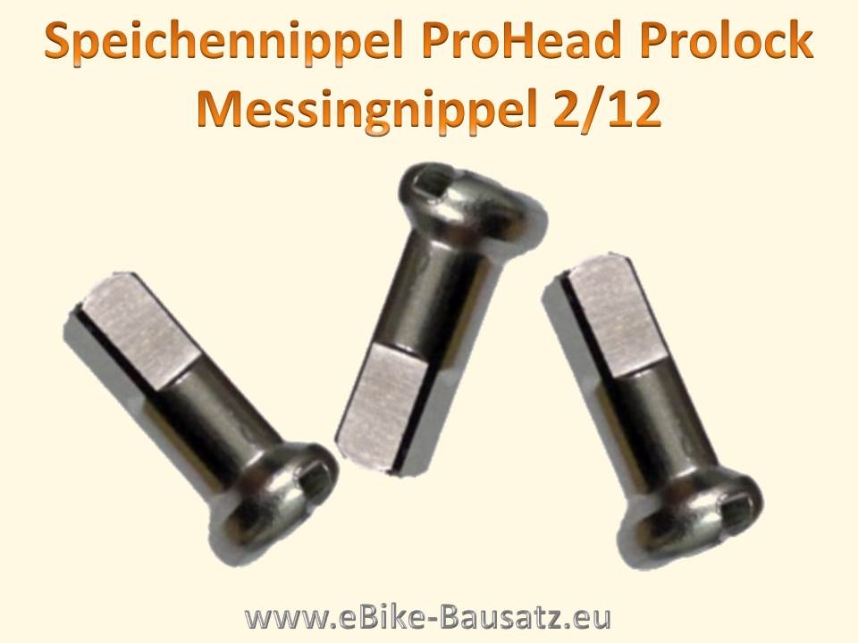 Bild 1 von Speichen DT Swiss / Sapim / Strong   / Nippel  für E-Bike Nabenmotoren  / (Variante) 1x Speiche 165mm inkl. Speichennippel für 26 Zoll