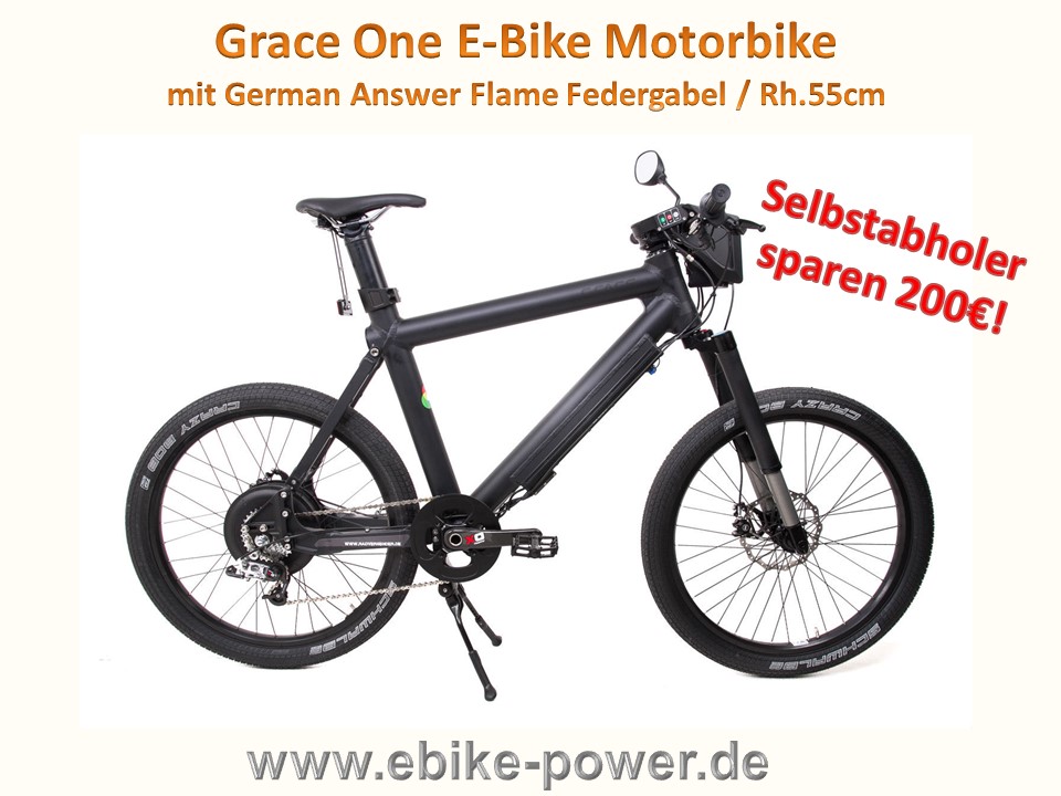 Bild 1 von Grace One E-Bike / Motorbike / S-Pedelec Rh. 55cm  / (Option) Lieferung + 200€  Transport inkl. Schutzbleche Gepäckträger