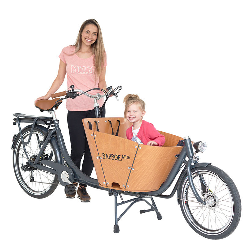 Bild 1 von Lastenfahrrad - Babboe Mini  - das Lastenrad  für Kindertransport - Kindertaxi