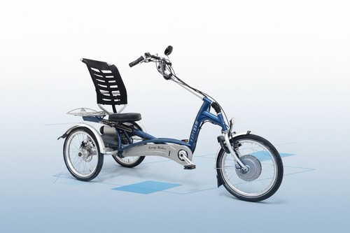 Bild 1 von Sesseldreirad Van Raam Easy Rider 2 - (gebraucht) mit Kofferaufbau hinten, Farbe rot metallic