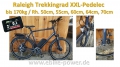 Bild 1 von Raleigh 170kg XXL - Pedelec Trekkingrad,  E-Bike mit kraftvollem  Bergmotor mit Gasgriff  / (Option I) 50cm / Sinuscontroller / Farbdisplay / (Option II) 60V/14Ah Dolphin III  (840Wh) 20% mehr Power /  + 3A Ladegerät