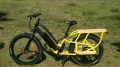 Bild 1 von Lastenfahrrad ERM Cargobike Zweisitzer mit Heck-Nabenmotor 26 Zoll  /  3,0 Zoll Bereifung