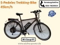 Bild 2 von Herren Trekking S-Pedelec  / (Motor-, Akkuvariante) Standardmotor bis 45km/h mit 17,5Ah-Akku + Spezialkit