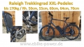 Bild 2 von Raleigh 170kg XXL - Pedelec Trekkingrad,  E-Bike mit kraftvollem  Bergmotor mit Gasgriff  / (Option I) 50cm / Sinuscontroller / Farbdisplay / (Option II) 48V/14Ah Hailong (672Wh) + 3A Ladegerät