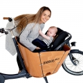 Bild 4 von Lastenfahrrad - Babboe Mini E  - das Lastenrad  für Kindertransport - Kindertaxi